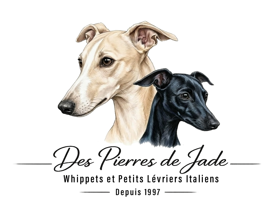 Logo des Pierres de Jade